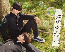 吴江网站优化选哪家