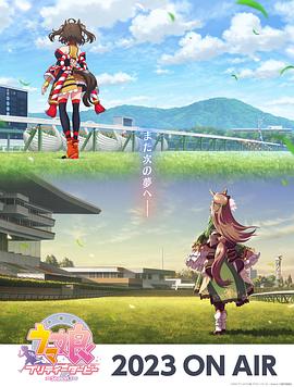 网站优化内容总结怎么写